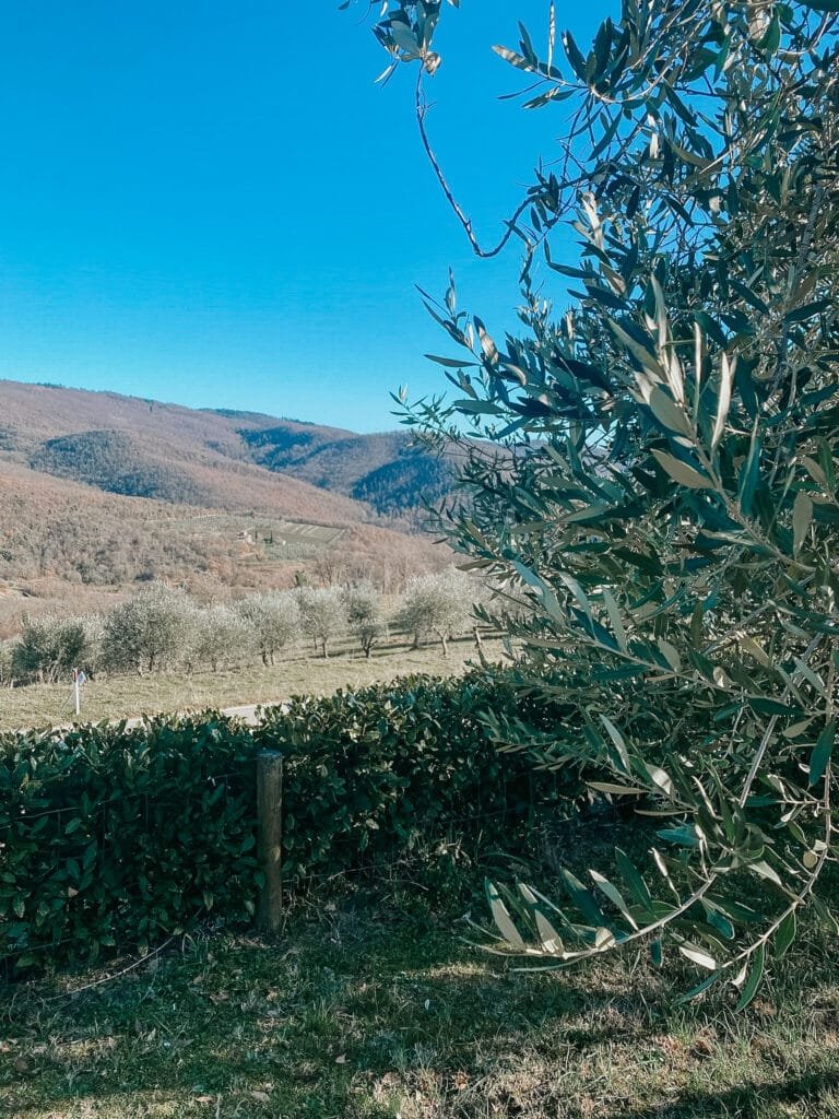 Countryside of Radda in Chianti