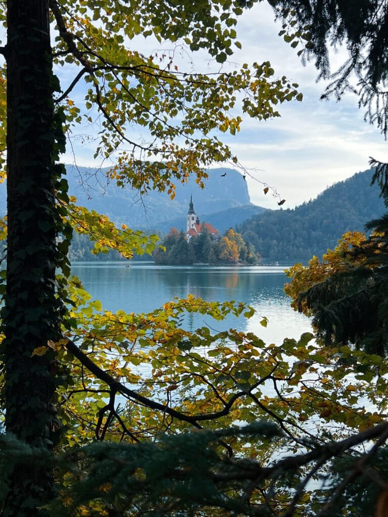 A beautiful view of Bled Island in the middle of Lake Bled which can be seen from the walking trail around the lake
