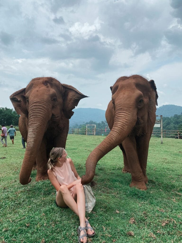 Visiting the elephants at the Elephant Nature Park in Chiang Mai