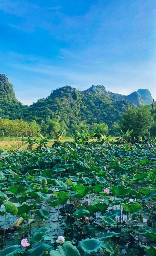 The view from Green Mountain Homestay in Ninh Binh
