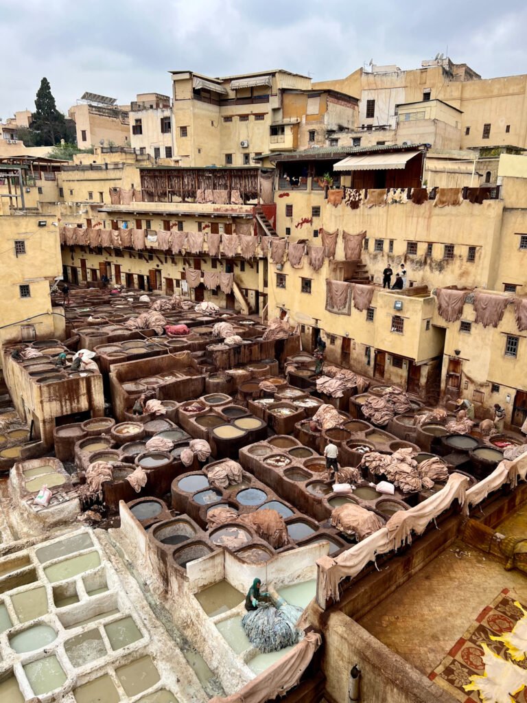 A view of the Fez tannery