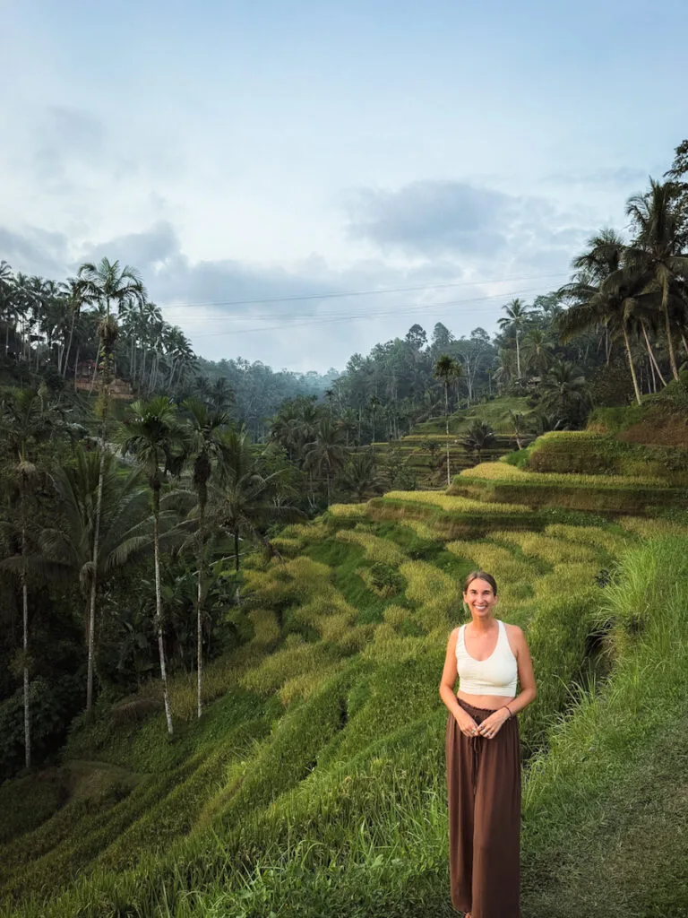 Traditional rice fields surrounded by tropical vegetation in Bali