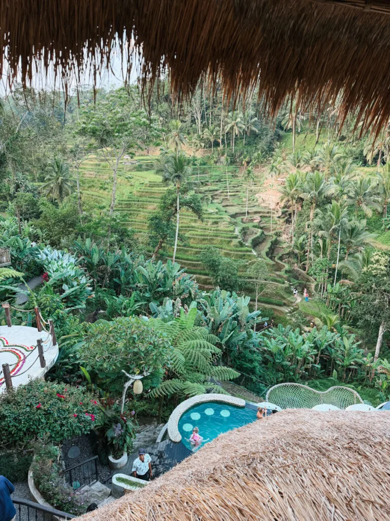 Bali café blending modern design with tropical surroundings